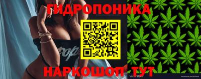 мет Можга